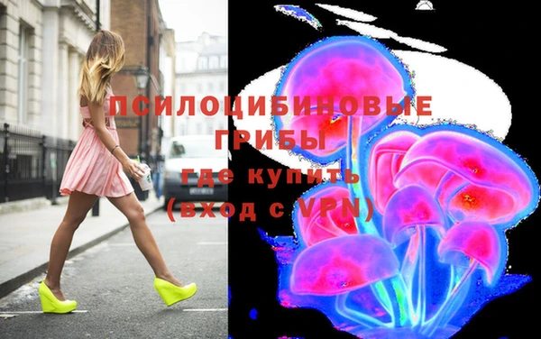 экстази Няндома