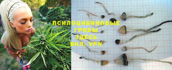 спиды Нягань