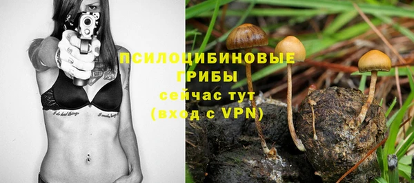 экстази Няндома