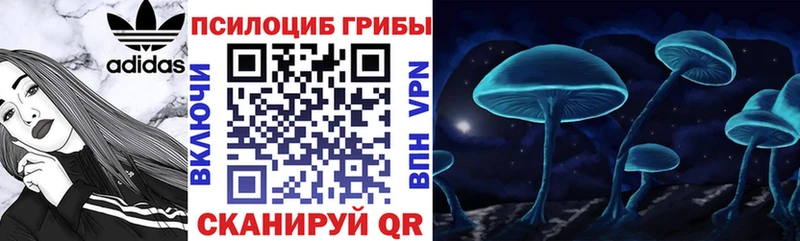 что такое   mega рабочий сайт  Галлюциногенные грибы ЛСД  Абаза 